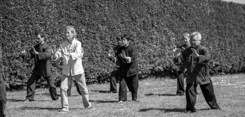 Groupe de personnes en train de faire du taichi devant une haie végétale.